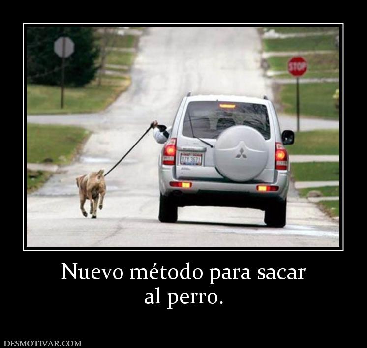 Nuevo método para sacar al perro.