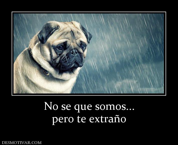 No se que somos... pero te extraño