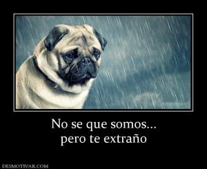 No se que somos... pero te extraño