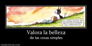 Valora la belleza de las cosas simples