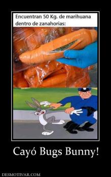 Cayó Bugs Bunny!