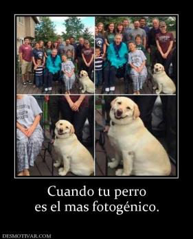 Cuando tu perro es el mas fotogénico.