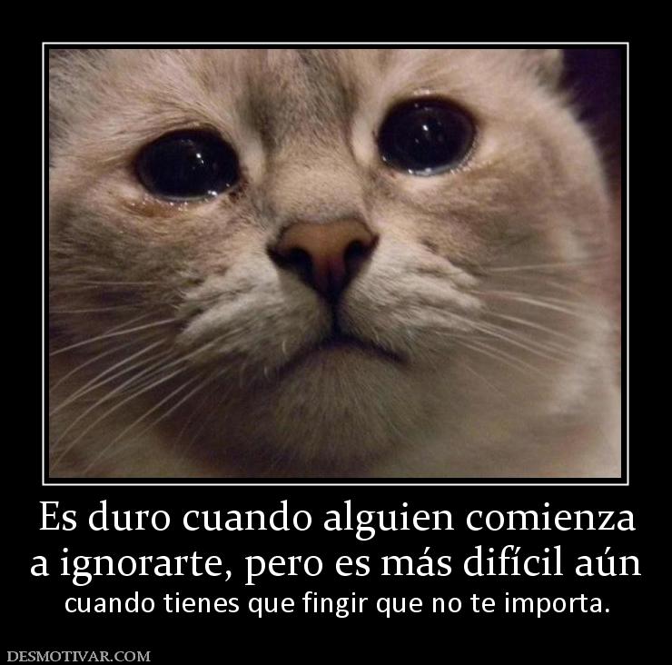 Es duro cuando alguien comienza a ignorarte, pero es más difícil aún cuando tienes que fingir que no te importa.