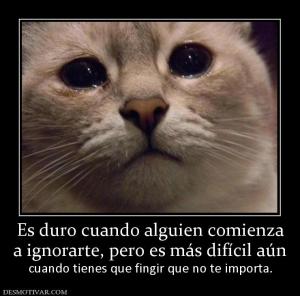 Es duro cuando alguien comienza a ignorarte, pero es más difícil aún cuando tienes que fingir que no te importa.