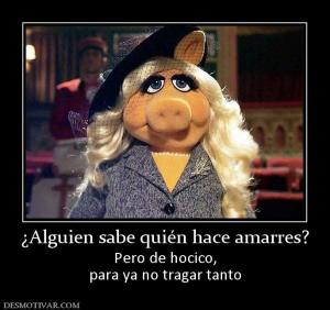 ¿Alguien sabe quién hace amarres? Pero de hocico, para ya no tragar tanto