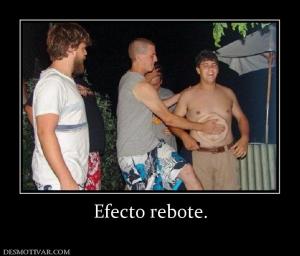 Efecto rebote.