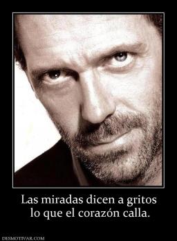 Las miradas dicen a gritos  lo que el corazón calla.