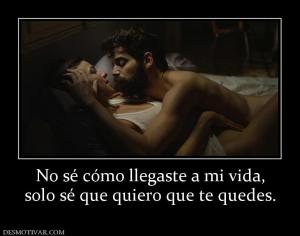 No sé cómo llegaste a mi vida, solo sé que quiero que te quedes.