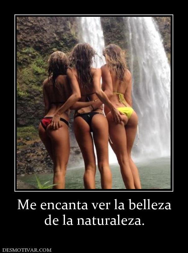 Me encanta ver la belleza de la naturaleza.