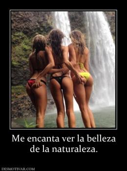 Me encanta ver la belleza de la naturaleza.