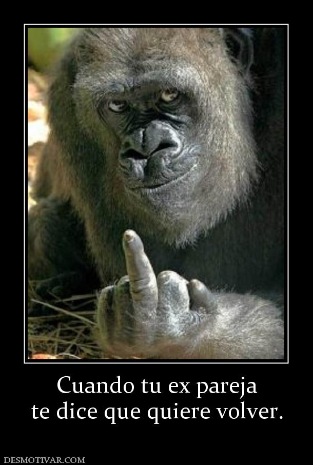 Cuando tu ex pareja te dice que quiere volver.