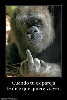 Cuando tu ex pareja te dice que quiere volver.