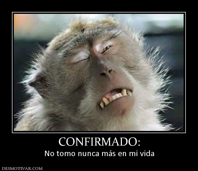 CONFIRMADO: No tomo nunca más en mi vida