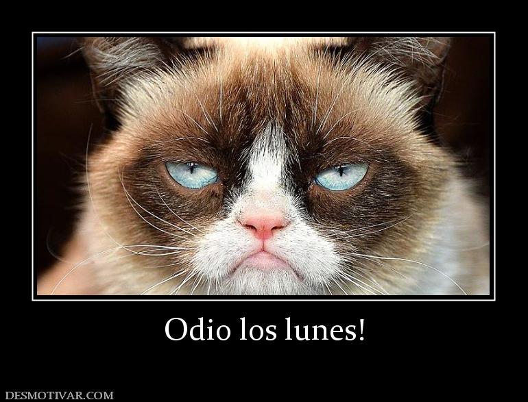 Odio los lunes!