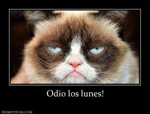 Odio los lunes!