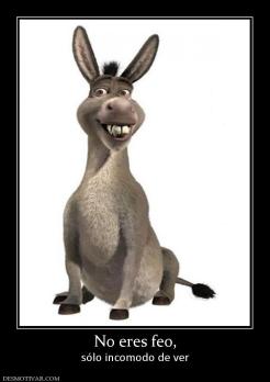 No eres feo, sólo incomodo de ver