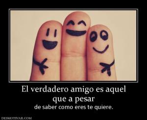 El verdadero amigo es aquel que a pesar  de saber como eres te quiere.