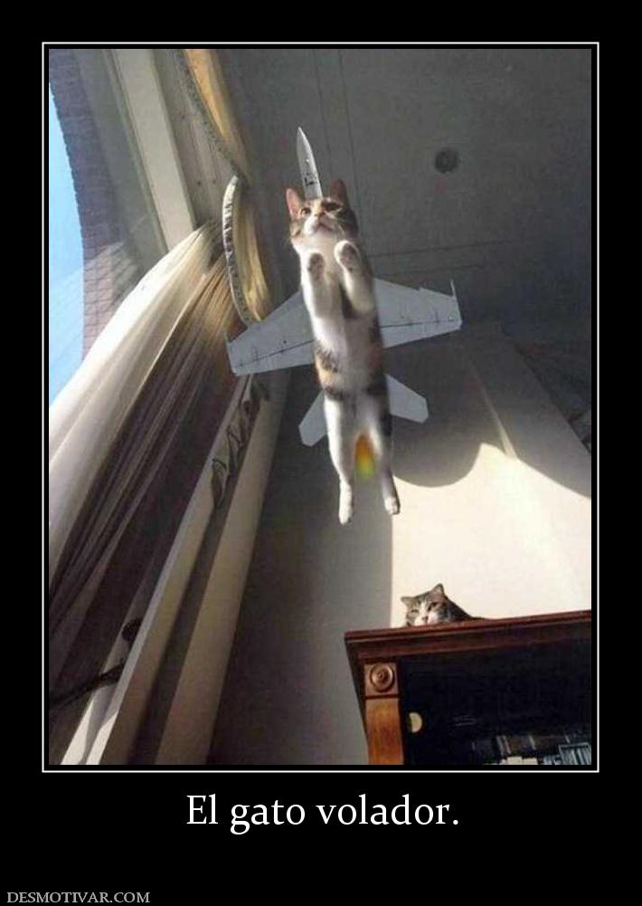 El gato volador.