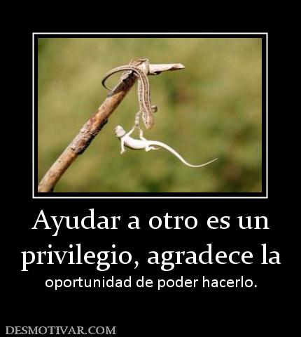 Ayudar a otro es un privilegio, agradece la oportunidad de poder hacerlo.