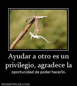 Ayudar a otro es un privilegio, agradece la oportunidad de poder hacerlo.