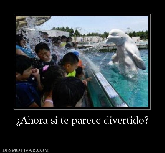¿Ahora si te parece divertido?