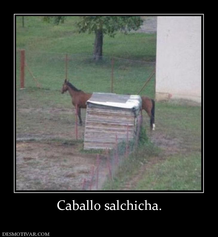 Caballo salchicha.