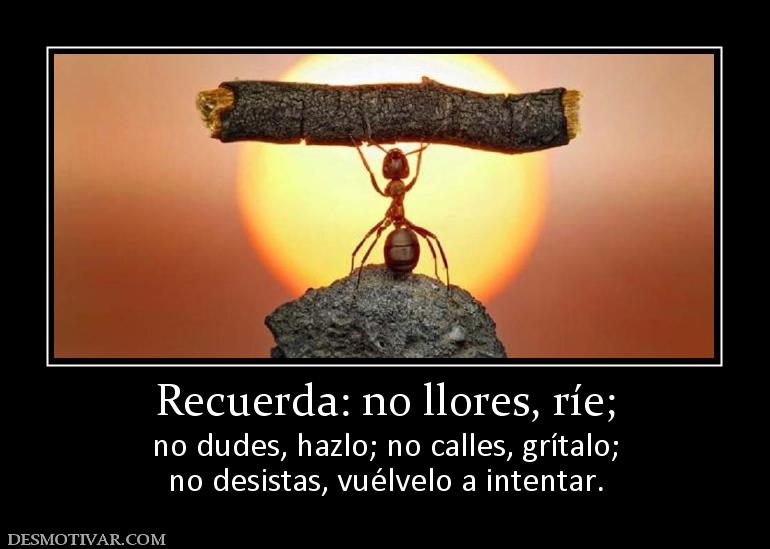 Recuerda: no llores, ríe; no dudes, hazlo; no calles, grítalo; no desistas, vuélvelo a intentar.