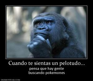 Cuando te sientas un pelotudo... pensa que hay gente buscando pokemones