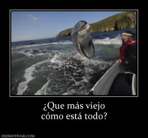 ¿Que más viejo cómo está todo?