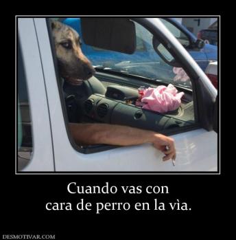 Cuando vas con cara de perro en la vìa.