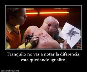 Tranquilo no vas a notar la diferencia esta quedando igualito.