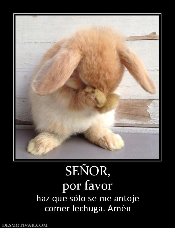SEÑOR, por favor haz que sólo se me antoje comer lechuga. Amén