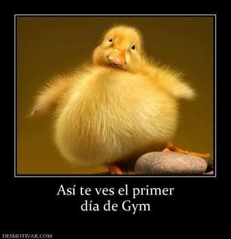Así te ves el primer día de Gym
