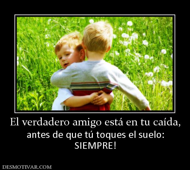 El verdadero amigo está en tu caída, antes de que tú toques el suelo: SIEMPRE!