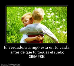 El verdadero amigo está en tu caída, antes de que tú toques el suelo: SIEMPRE!