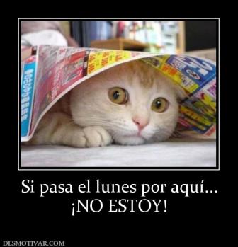 Si pasa el lunes por aquí... ¡NO ESTOY!