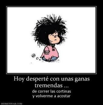 Hoy desperté con unas ganas tremendas ... de correr las cortinas y volverme a acostar