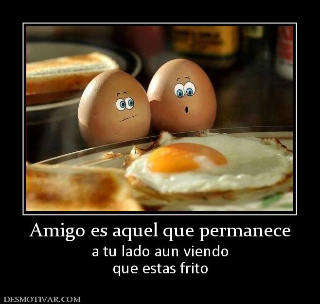 Amigo es aquel que permanece a tu lado aun viendo que estas frito
