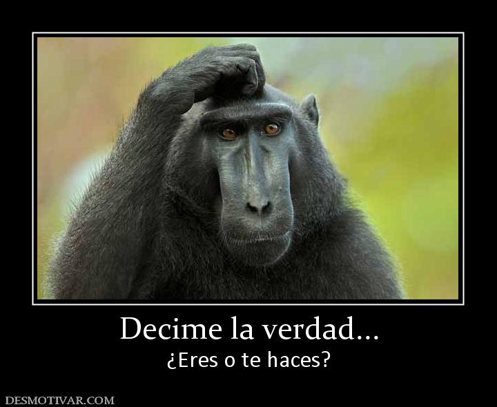 Decime la verdad... ¿Eres o te haces?