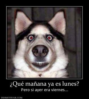 ¿Qué mañana ya es lunes? Pero si ayer era viernes...