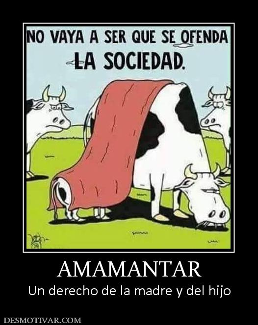 AMAMANTAR Un derecho de la madre y del hijo