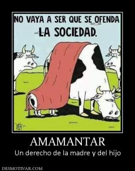 AMAMANTAR Un derecho de la madre y del hijo