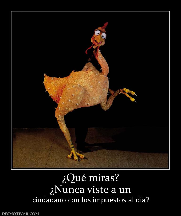 ¿Qué miras? ¿Nunca viste a un ciudadano con los impuestos al día?