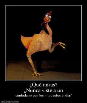 ¿Qué miras? ¿Nunca viste a un ciudadano con los impuestos al día?
