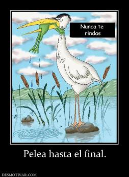 Pelea hasta el final.