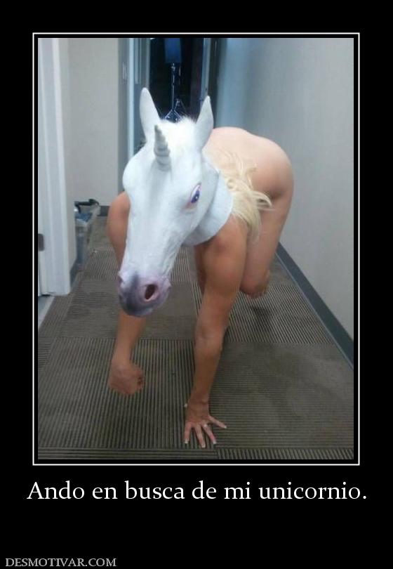 Ando en busca de mi unicornio.
