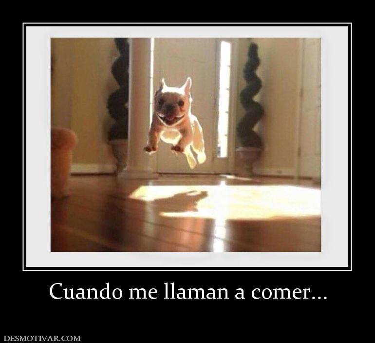 Cuando me llaman a comer...