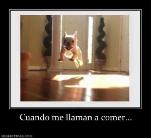 Cuando me llaman a comer...