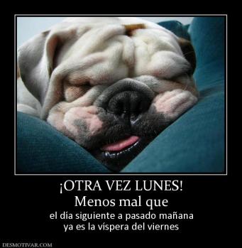 ¡OTRA VEZ LUNES! Menos mal que  el día siguiente a pasado mañana ya es la víspera del viernes