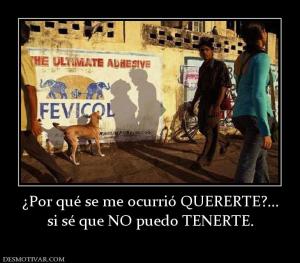 ¿Por qué se me ocurrió QUERERTE?... si sé que NO puedo TENERTE.